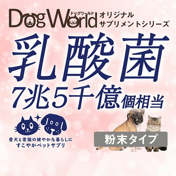 セール用アイテム