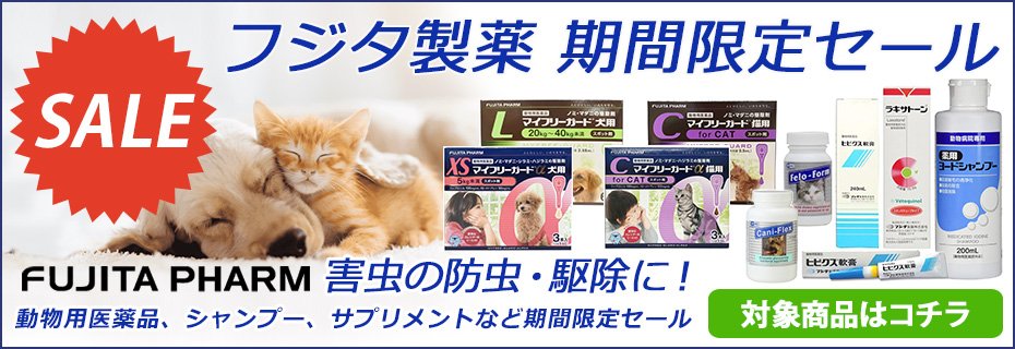 期間限定セール フジタ製薬