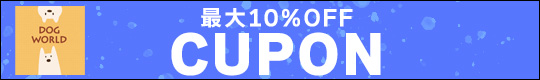 今月のクーポン