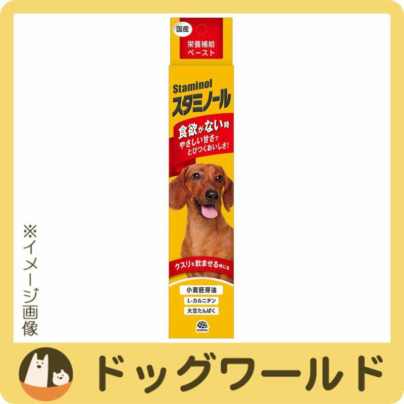 アース 犬用 栄養補給ペースト スタミノール 関節ケア 100g ×10個 (s6610002)