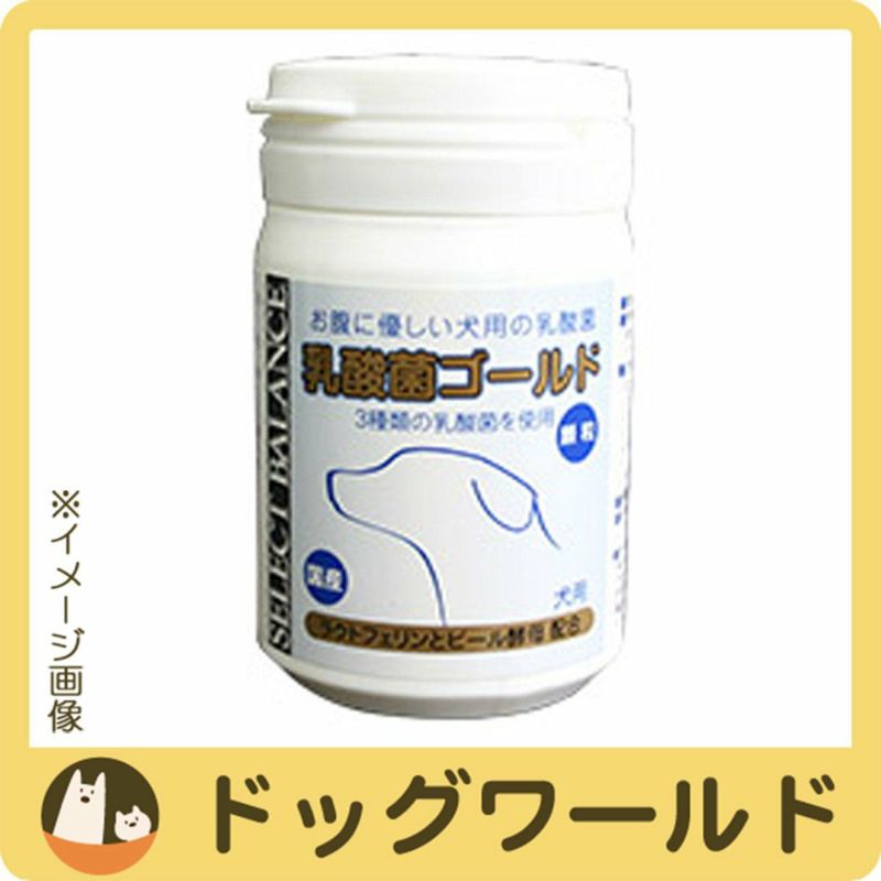 セレクトバランス 乳酸菌ゴールド 犬用 顆粒 45g | ドッグワールド