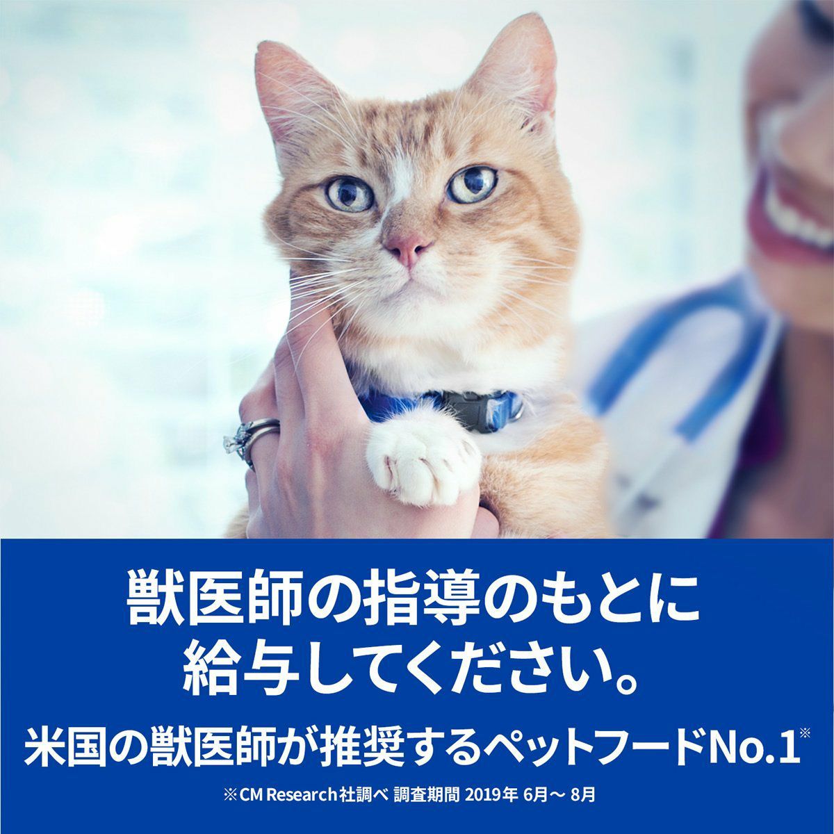 ヒルズ回復期ケア a/dチキン 犬猫用34缶+spbgp44.ru