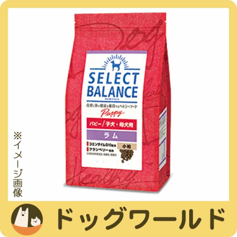 セレクトバランス パピー ラム 小粒 子犬・母犬用 ドライ 1kg | ドッグ