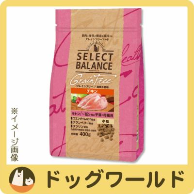 セレクトバランス Selectbalance ドッグワールド
