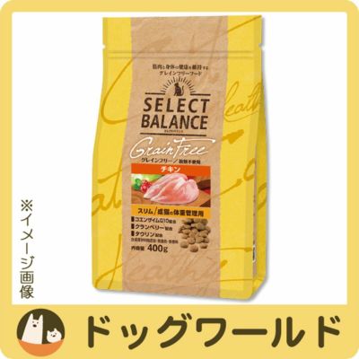 セレクトバランス Selectbalance ドッグワールド