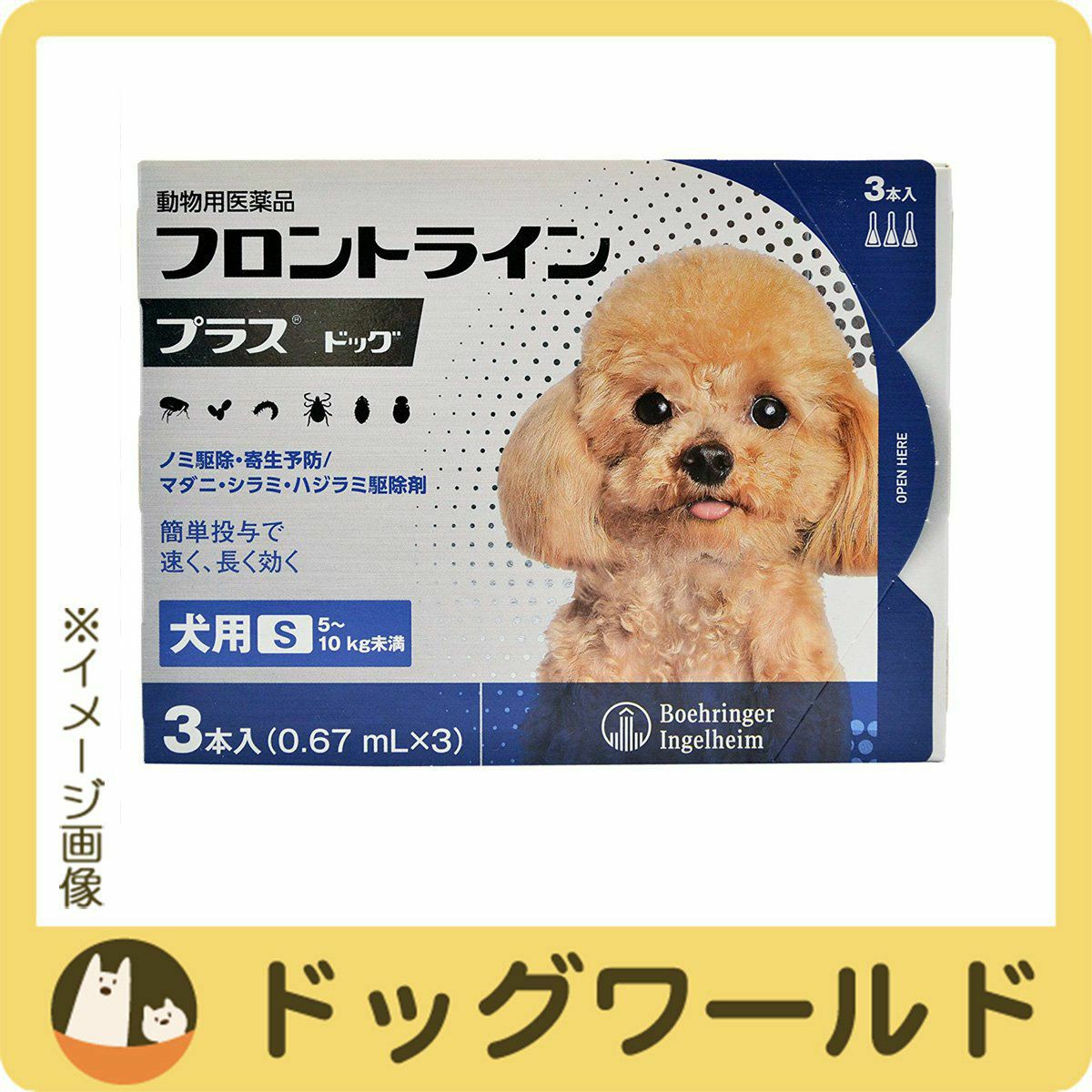 フロントライン ドッグワールド