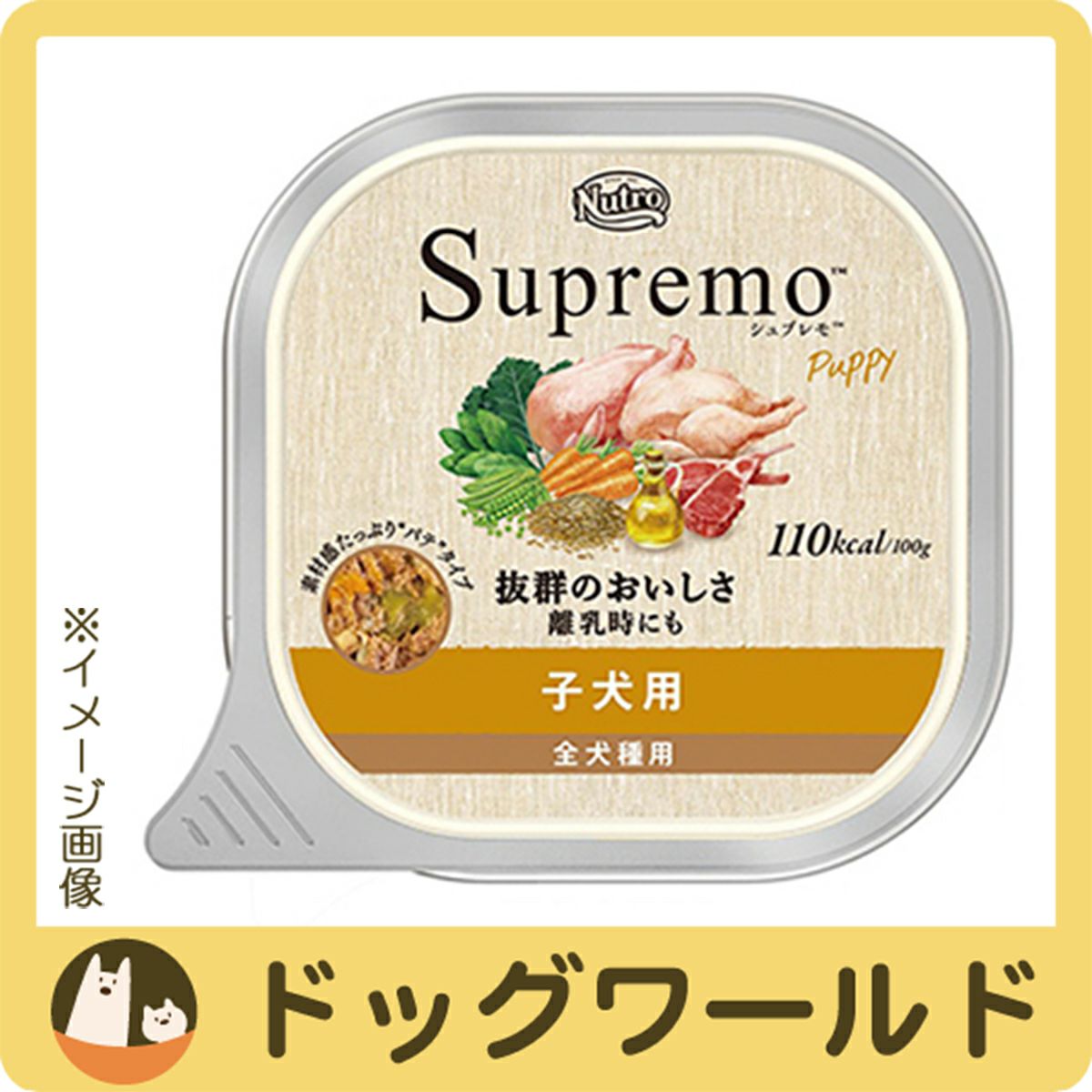シュプレモ | ドッグワールド