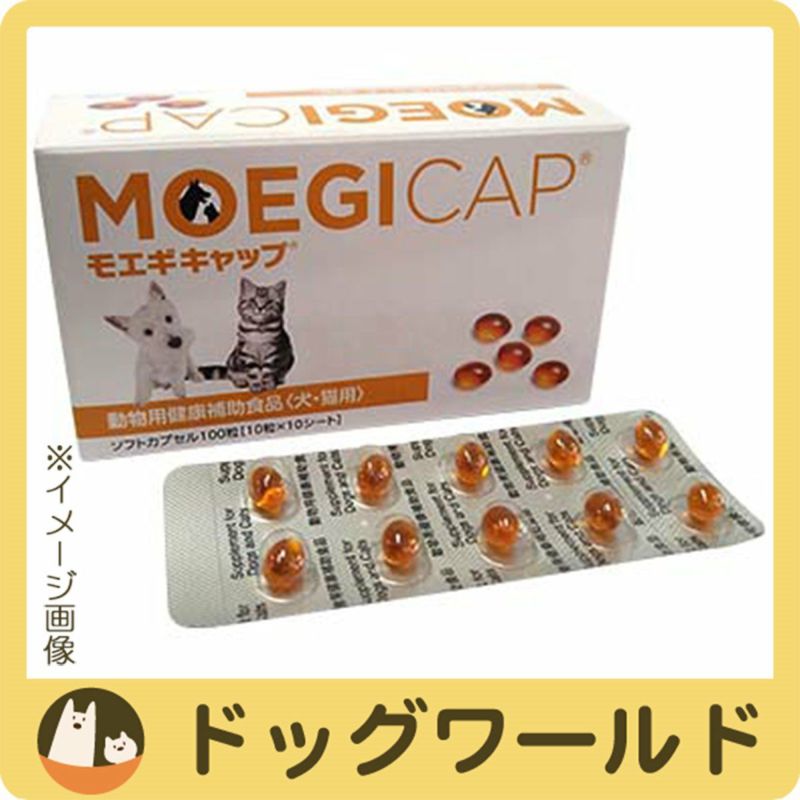 モエギキャップ 犬・猫用 100粒（10粒×10シート） | ドッグワールド