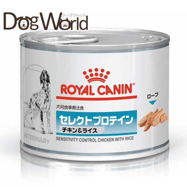 犬用 | ドッグワールド